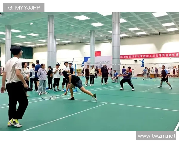 羽毛球盛宴：深入解析杭州羽毛球队的训练与技战术创新