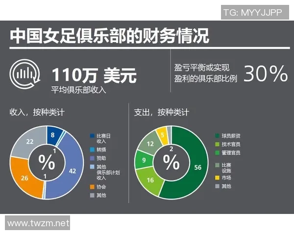 足球明星收入的计算方式与影响因素详解分析